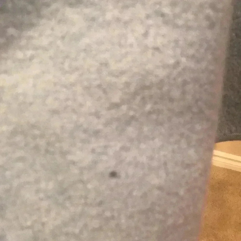 Appleseeds Wool Button Front Blazer-Size Large - image 4